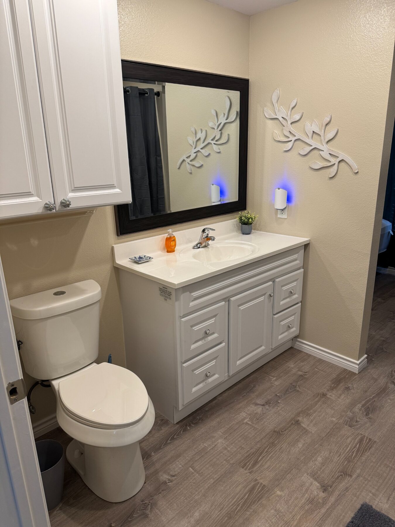 Driscoll A bathroom vanity and toilet