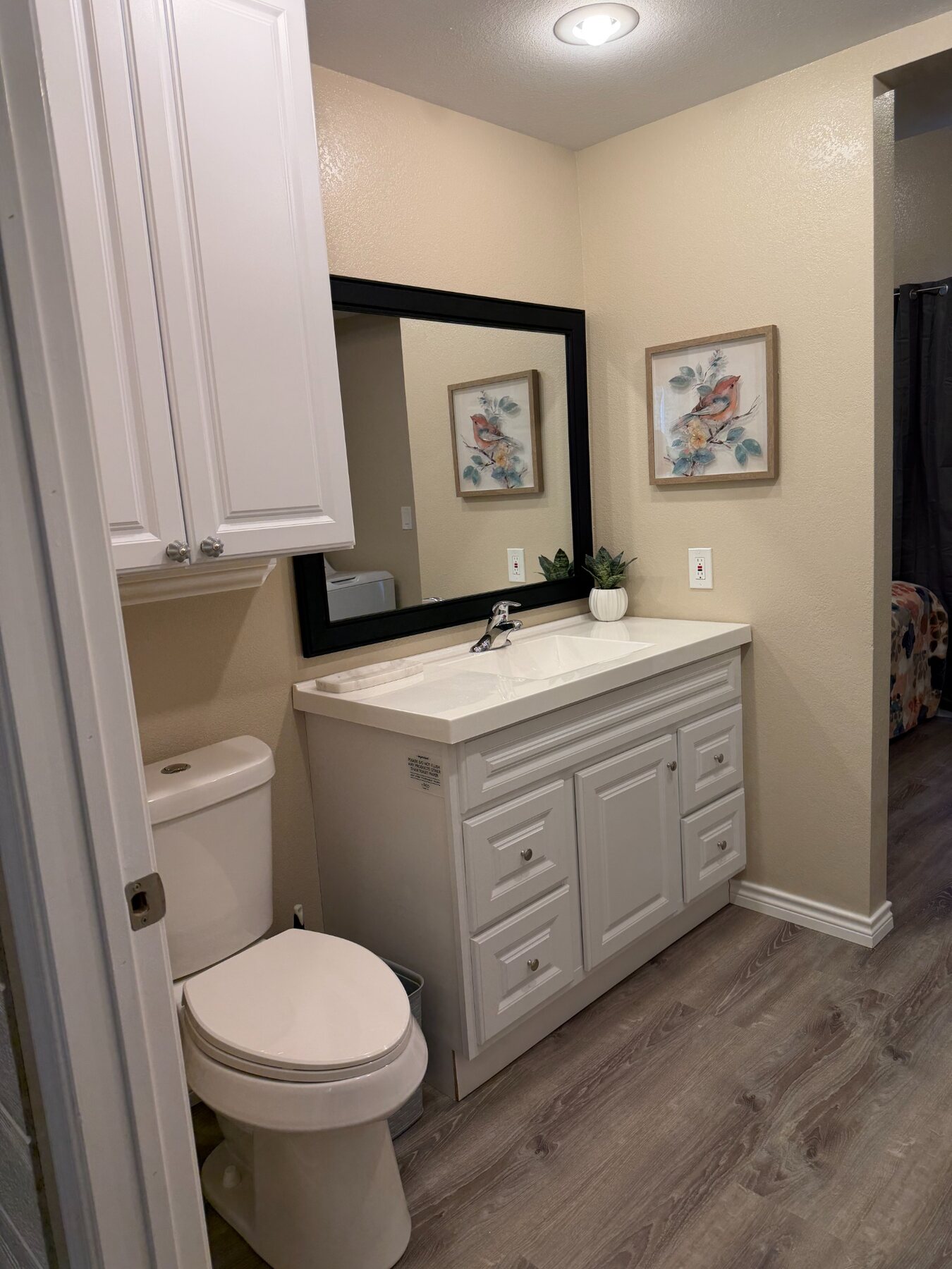 Driscoll B bathroom vanity and toilet